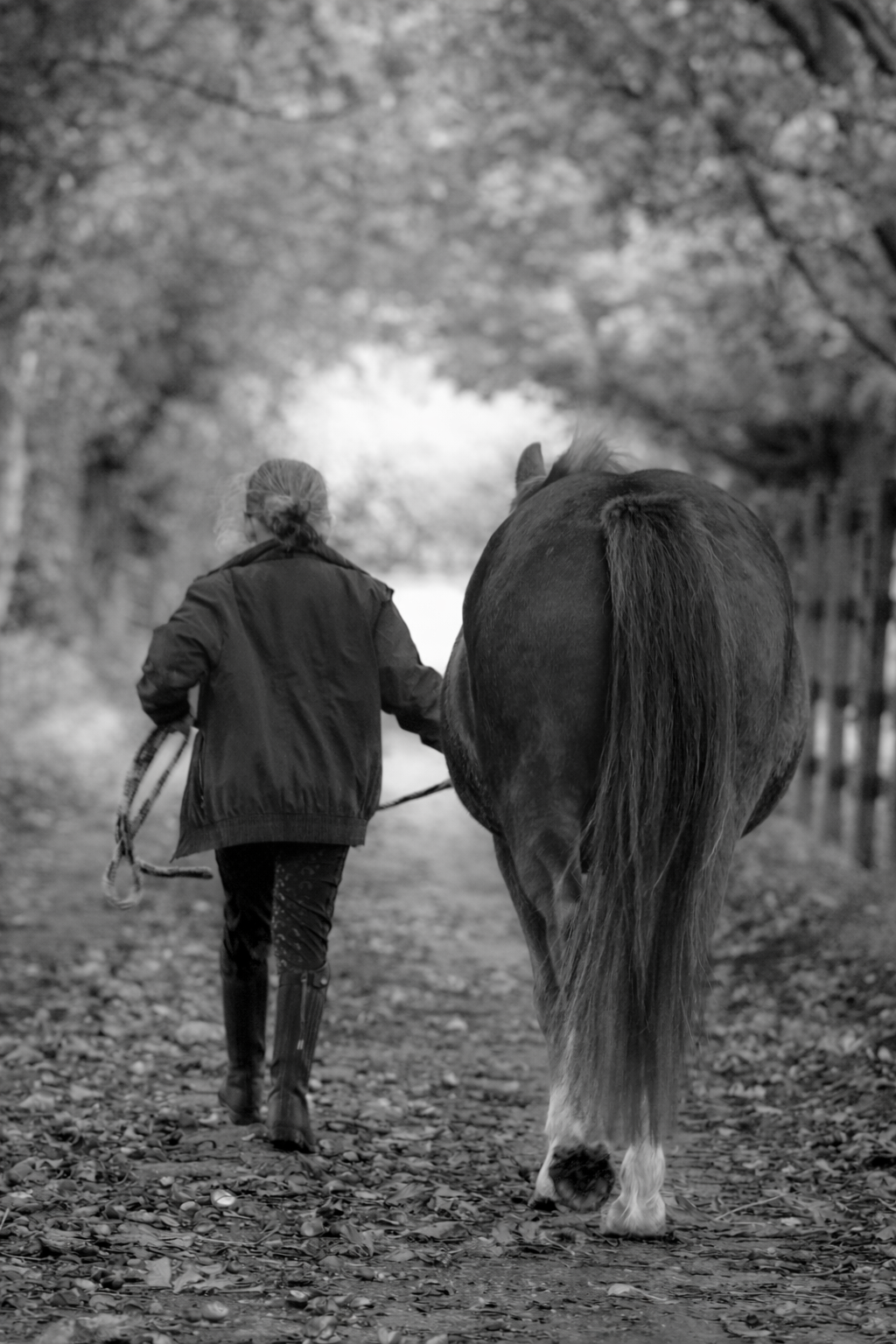 Rider
