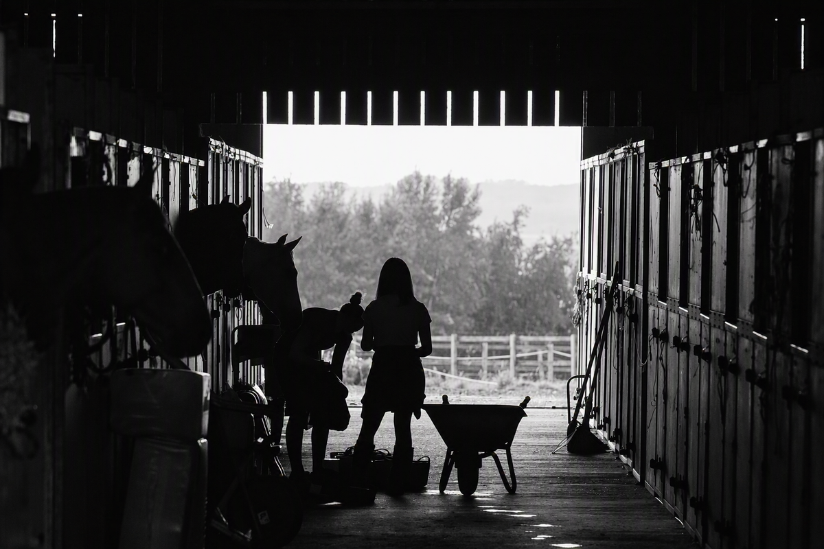 Stable & Yard